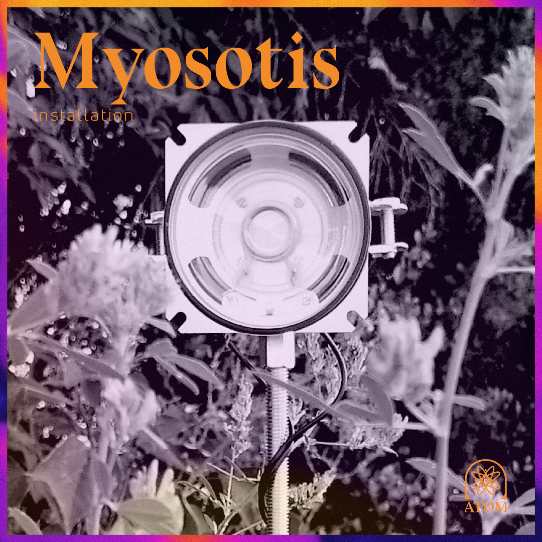 Clément Demonsant : Myosotis