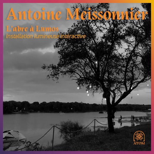 L’Arbre à Lumos (Antoine Meissonnier)